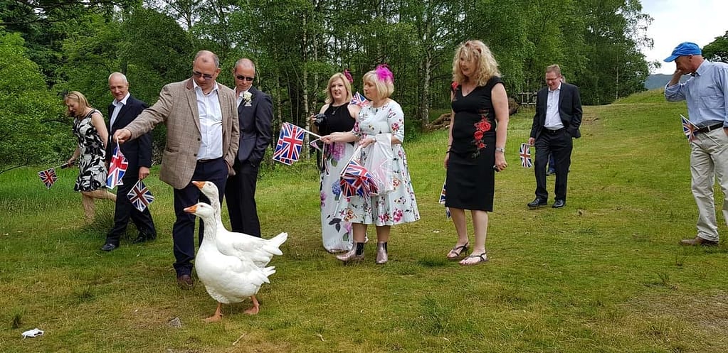 Lake District wedding for 12