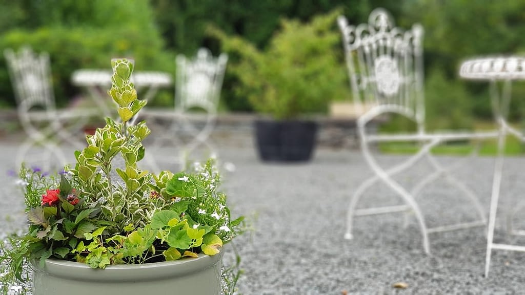 Small Wedding Venue with Outside Spaces