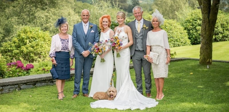 Happy Dogs at Family-Weddings