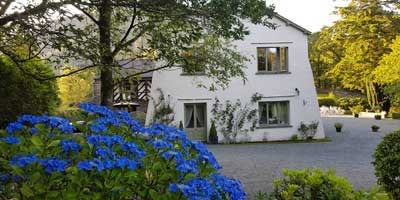 Hydrangeas in full Bloom at Cote How