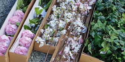 Boxes of Lovely Silk Flowers
