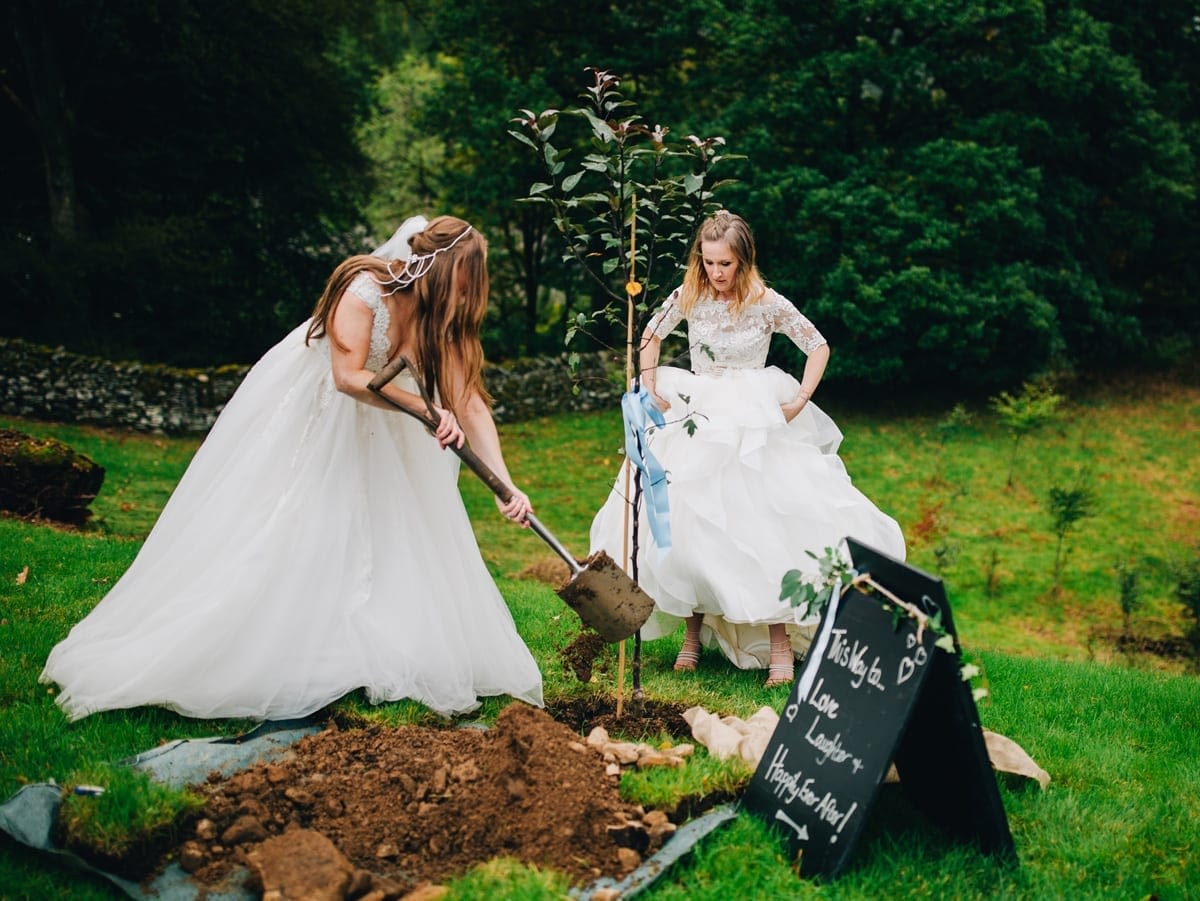 Plant a wedding tree