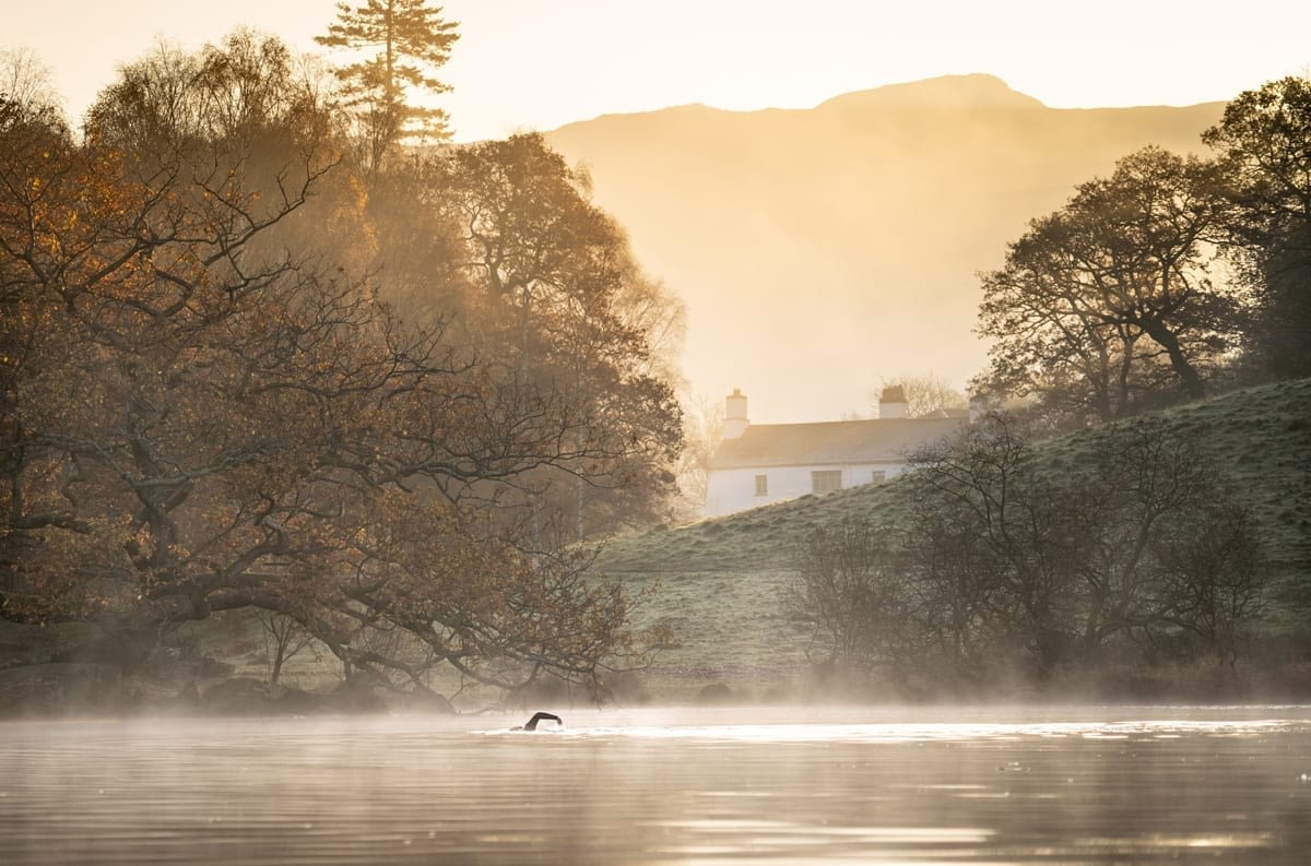 Wild Open Water Swimming in Rydal Water